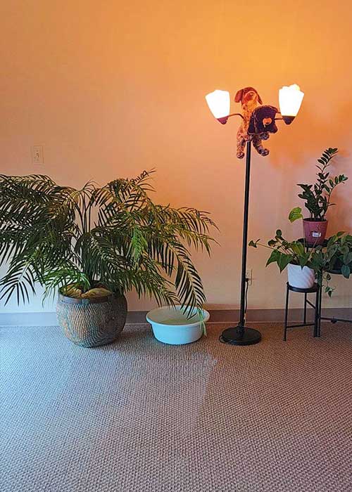 Sun Spa, spa in Elkhart, IN, photo 6 of 10